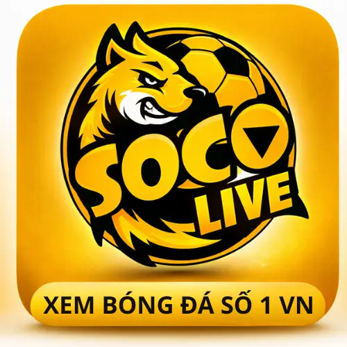 Xem Bóng Đá Số 1 VN